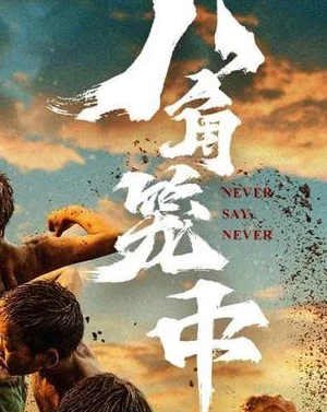 Bát Giác Long Trung - Never Say Never