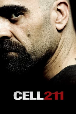 Cell 211-Cell 211