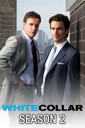 Cổ Cồn Trắng (Phần 2) - White Collar (Season 2)