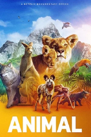 Động vật (Phần 2) - Animal (Season 2)