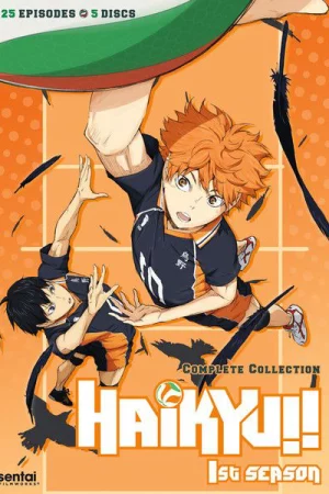 Haikyu - Chàng khổng lồ tí hon (Phần 1) - Haikyu!! (Season 1)