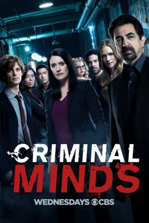 Hành Vi Phạm Tội (Phần 13) - Criminal Minds (Season 13)