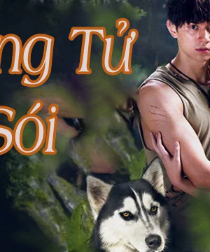 Hoàng Tử Sói-Prince Of Wolf