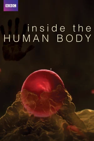 Inside the Human Body-Inside the Human Body