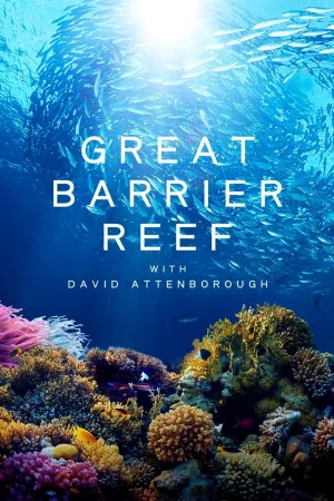 Khám Phá Rạn San Hô Great Barrier cùng David Attenborough-Great Barrier Reef with David Attenborough