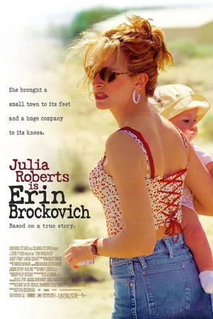 Nghị Lực Sống - Erin Brockovich