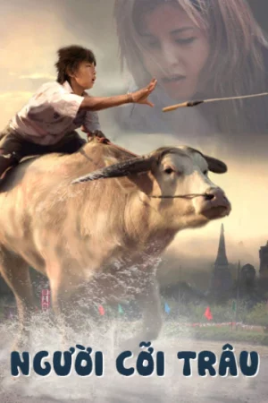 Người Cỡi Trâu-Buffalo Rider