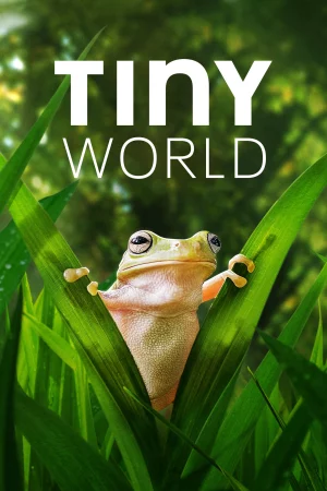 Thế Giới Siêu Nhỏ (Phần 2)-Tiny World (Season 2)
