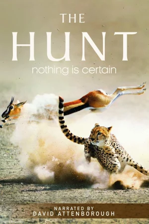 The Hunt-The Hunt