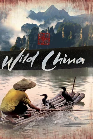 Thiên Nhiên Hoang Dã Trung Quốc - Wild China