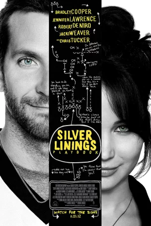 Tình Yêu Tìm Lại-Silver Linings Playbook