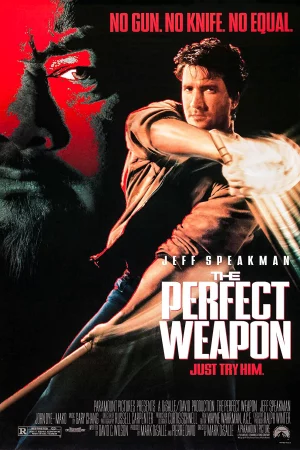 Vũ Khí Hoàn Hảo-The Perfect Weapon