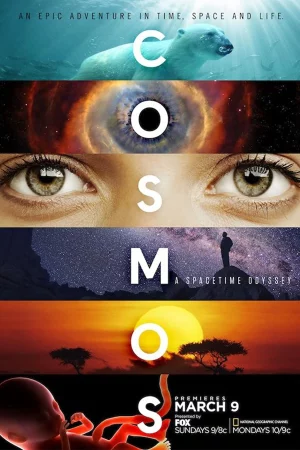 Vũ Trụ Kỳ Diệu Phần 1-Cosmos: A SpaceTime Odyssey (Season 1)