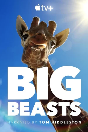 Big Beasts - 