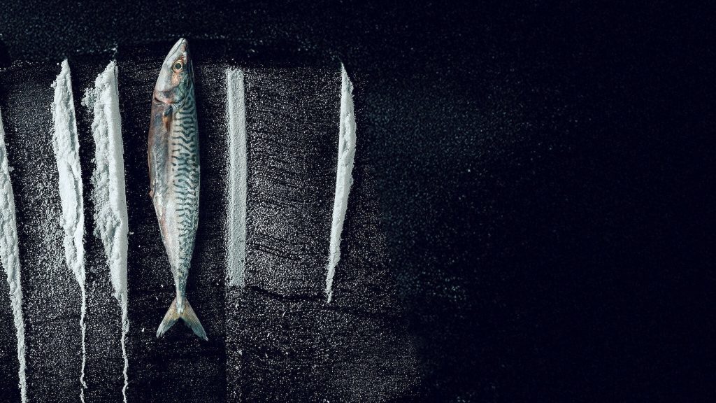 Sóng Triều Đổi Vận: Câu Chuyện Siêu Thực Về Rabo De