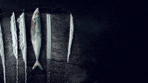 Sóng Triều Đổi Vận: Câu Chuyện Siêu Thực Về Rabo De